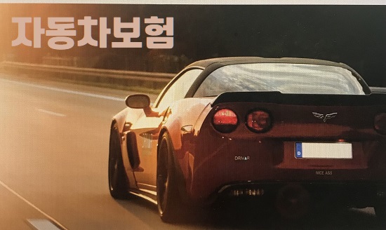 �ڵ�������